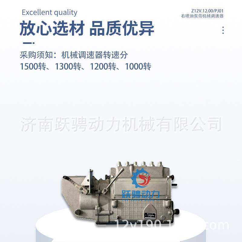适济柴驰动PZ12V190B G12V190PZL柴油机bh6z14zt高压喷油泵主泵