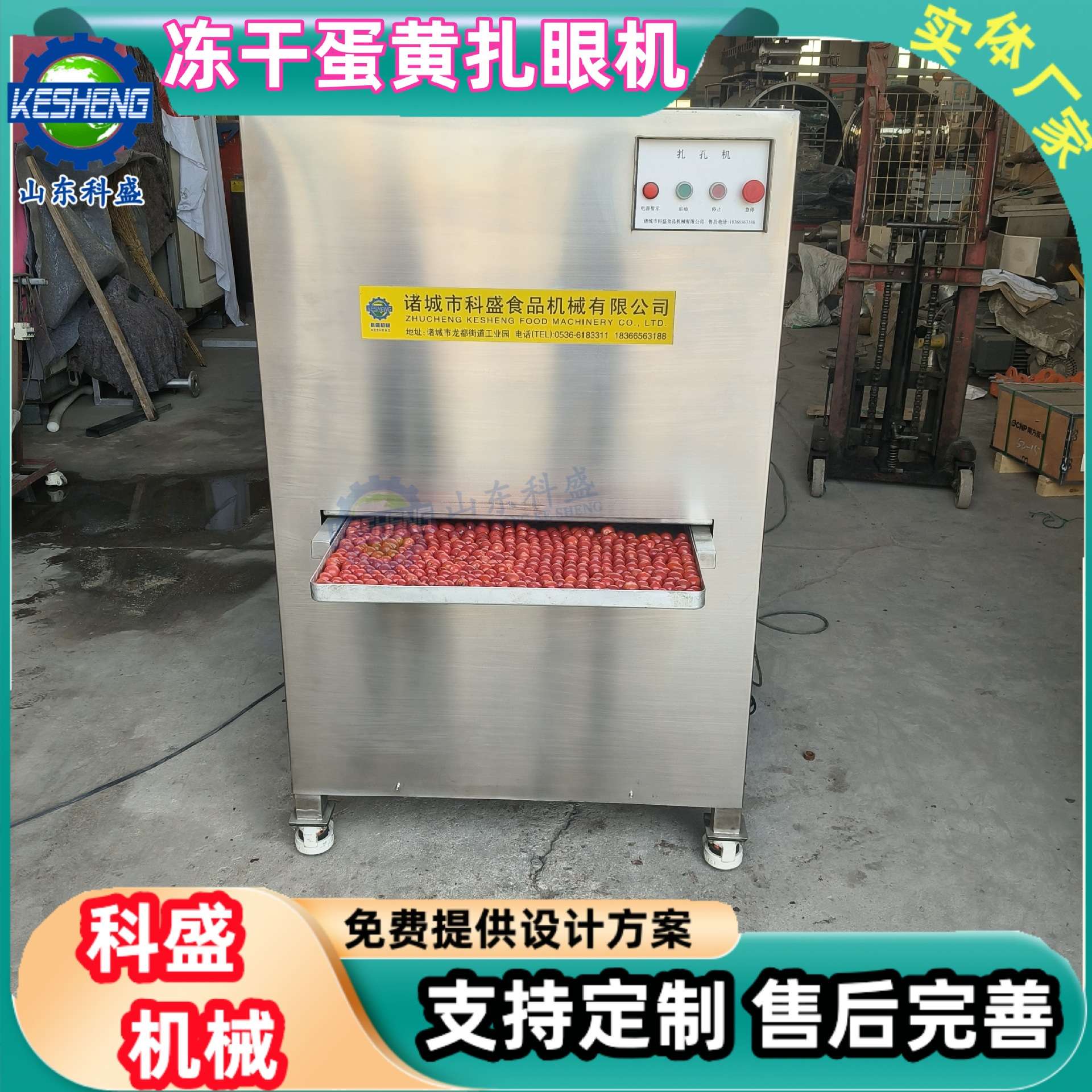 商用冻干蛋黄扎孔机 蛋黄刺孔机 宠物食品加工设备