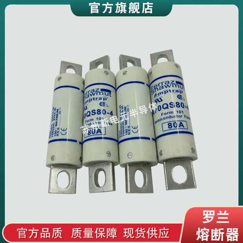 熔断器保险丝FR22AM50V80P Z218729/ FR22AM50V100P T222979现货
