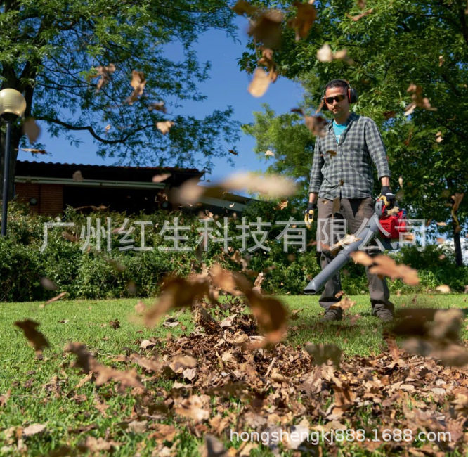 意大利叶红吹风机SA2500 手提式汽油风力灭火机 轻便型吹叶机