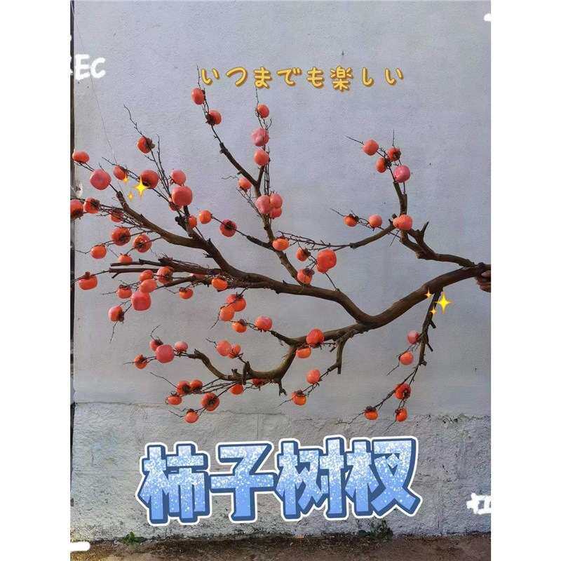仿真树大型柿子树新中式复古风格大堂酒店商场落地婚庆造假柿子树