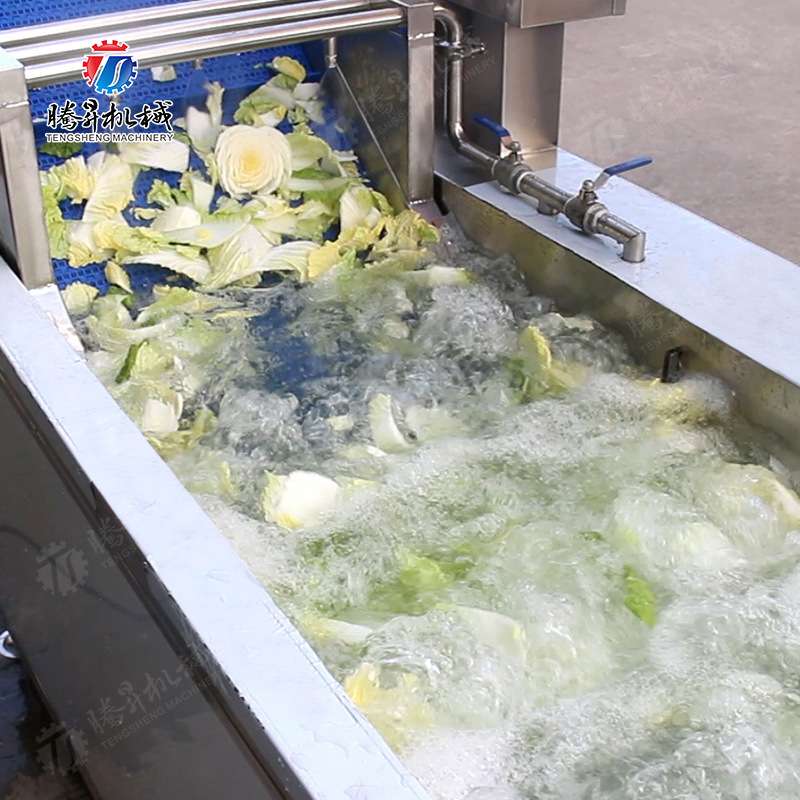 商用清洗机可提升百香果芒果果蔬清洗机预制菜加工设备气泡洗菜机
