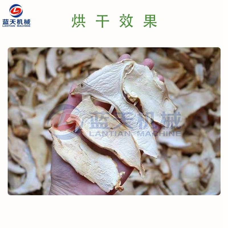 蓝天松茸菌烘干机 全智能松茸干片烘干箱 松口蘑赤松茸烘干一体机