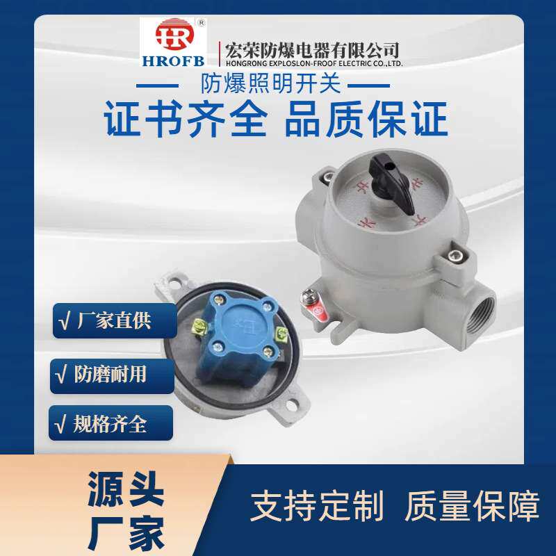 防爆照明开关防爆的控制开关防水尘转换控制开关配电箱耐用
