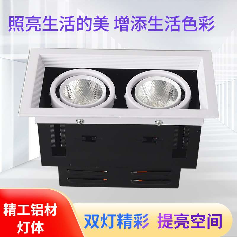 led斗胆灯双头单头三头双眼射灯筒灯黑色方形格栅嵌入式豆胆商用