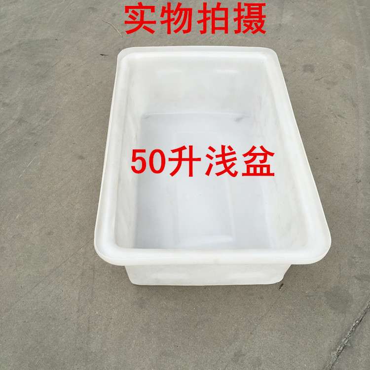 厂家供应长方形小养殖箱50升牛筋滚塑市场卖活鱼活虾加厚塑料方箱
