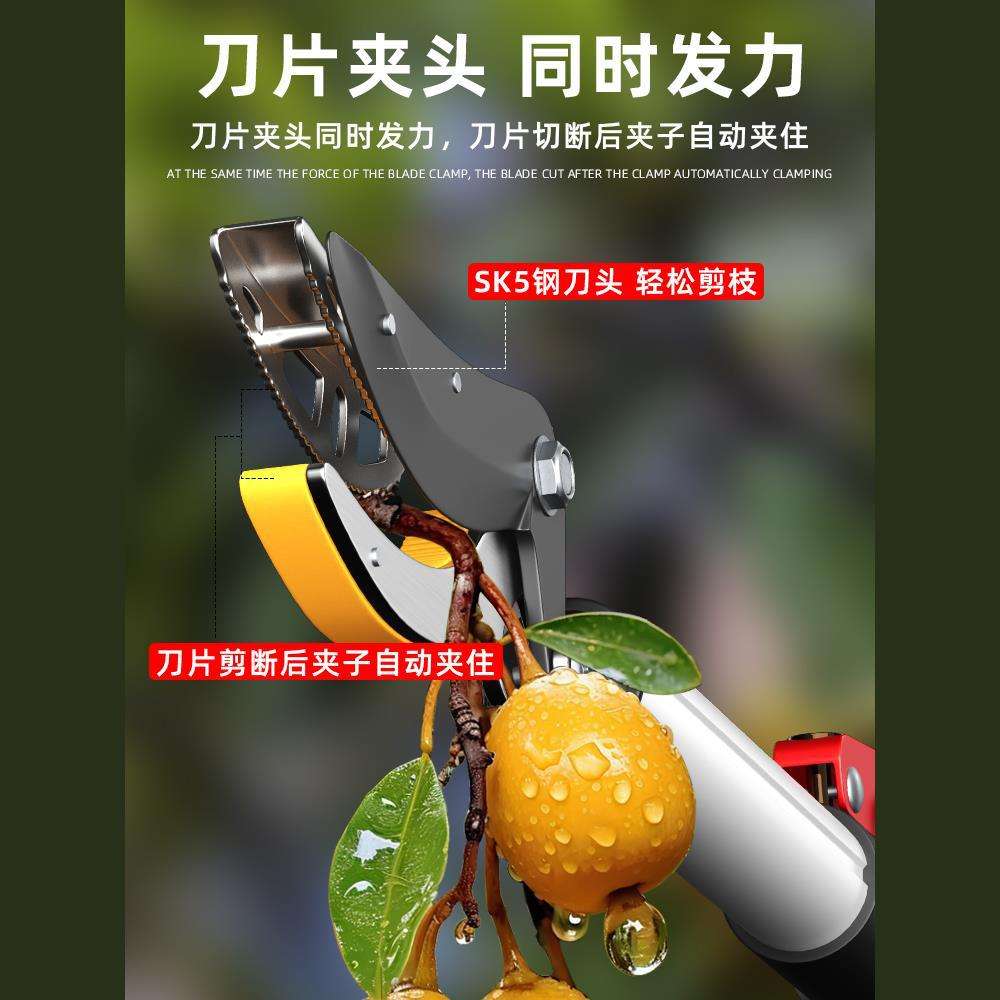 摘水果采摘枇杷荔枝杨梅龙眼杏子摘果神器伸缩杆高空剪树枝高枝剪