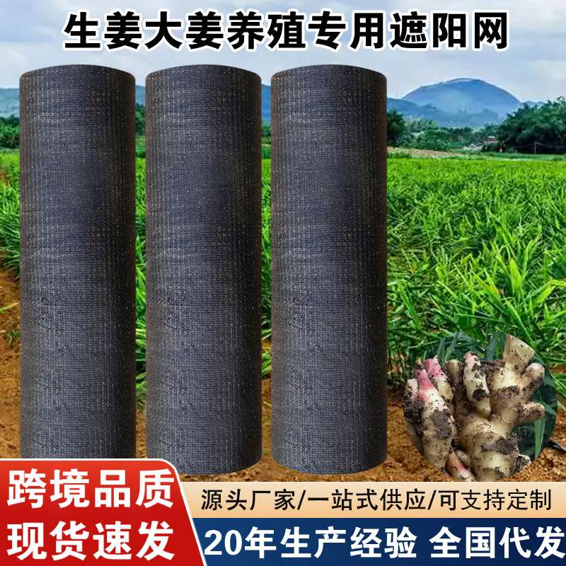 平织遮阳网 生姜种植厂家抗老化大棚专用花卉果蔬羊肚菌 种植育苗