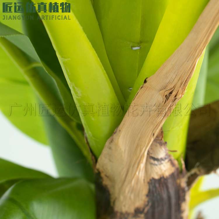 2.8米室内造景大叶植物热带雨林风仿真香蕉树芭蕉树北欧大盆景