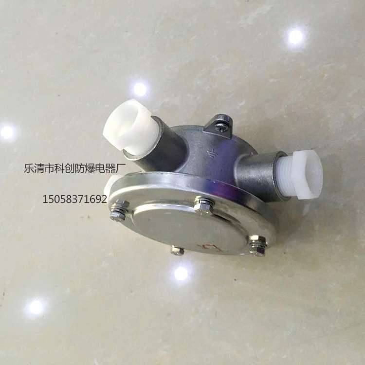 防爆接线盒三通 304不锈钢防爆型分线盒DN20 带吊防爆吊灯盒