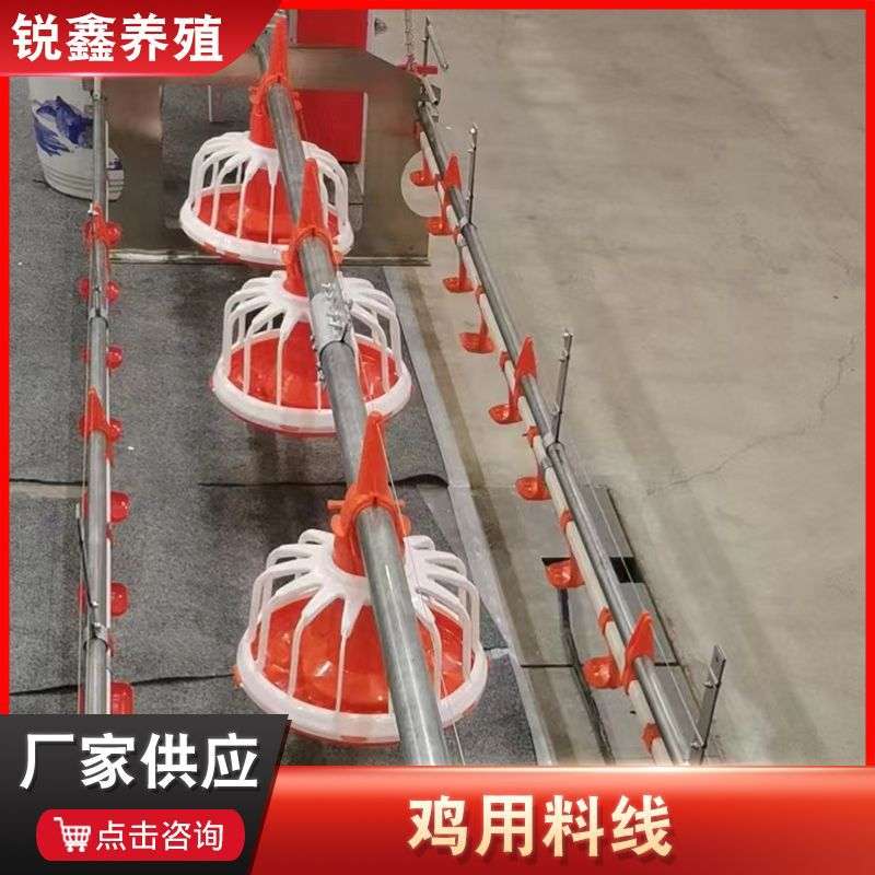 全自动喂水喂料鸡鸭舍料盘鸡用料线 平养投料养鸡设备 鸡用料线