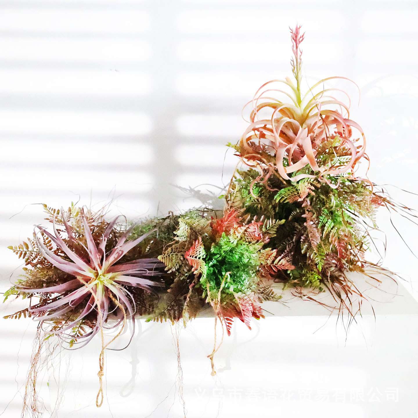 手工创意厥叶植物吊饰空中悬挂饰墙上挂件客厅橱窗植物角阳台装饰