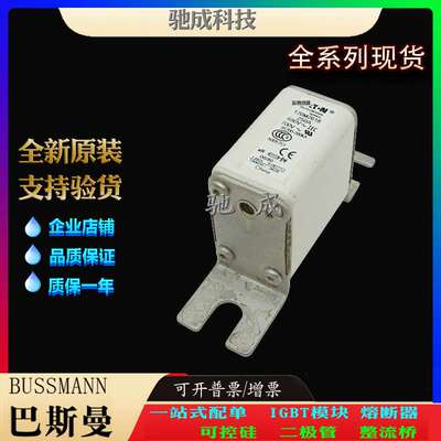 巴斯曼170M2616 170M2617 170M2618 加工制作量大价优 特种保险丝