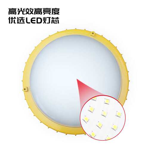 led防爆灯平台灯厂家直供 BPC8766吸顶灯BPC8767防眩泛光灯30W50W