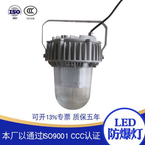 2020生产LED海洋王防爆灯50瓦-100瓦平台灯芯片明伟电源
