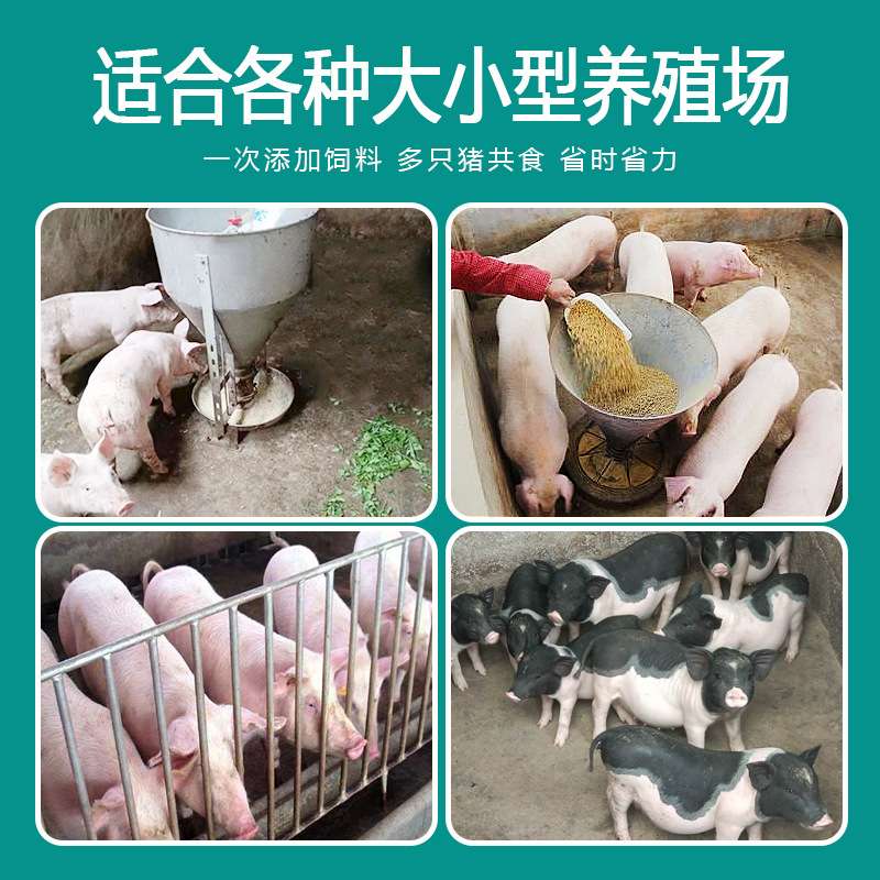 猪食槽圆形仔猪小猪料槽猪用补料喂料槽喂猪神器养猪养殖设备猪槽