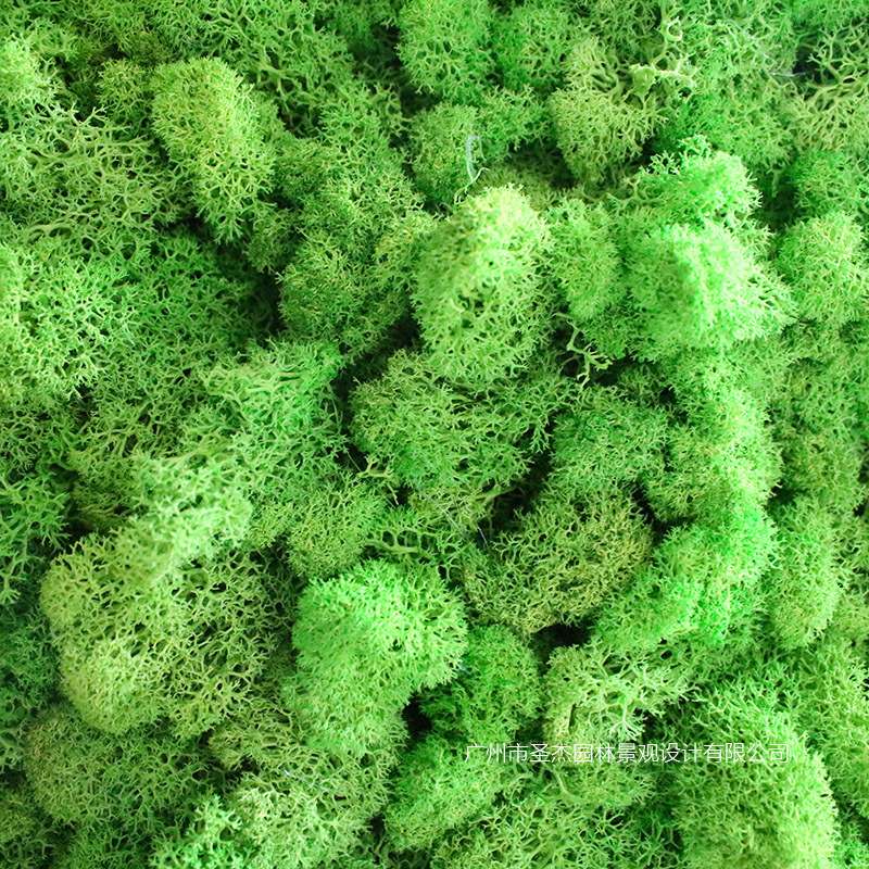特色仿真青苔植物墙餐厅墙体永生青苔绿植墙装饰 仿真阻燃植物墙