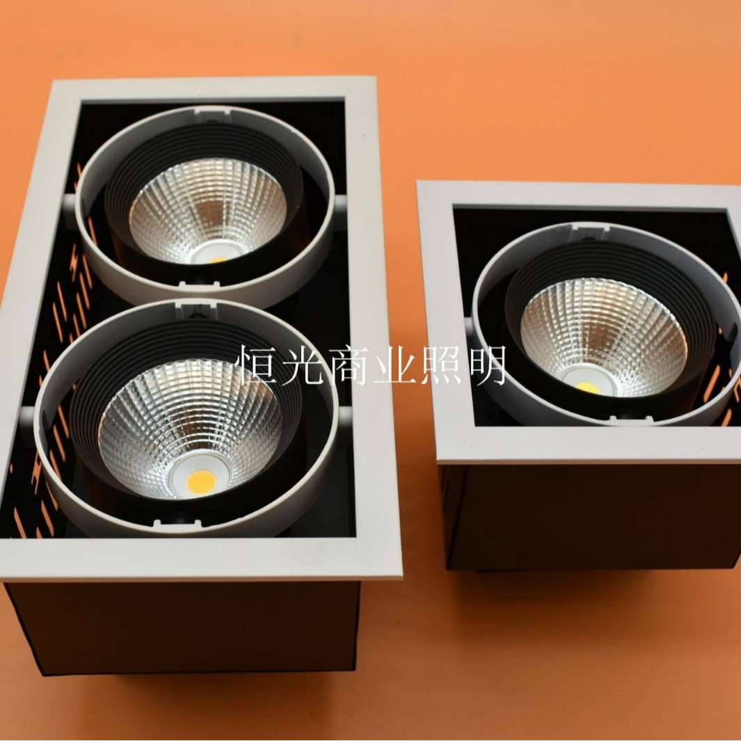 LED双头防眩豆胆灯 COB格栅灯 10W12W豆胆灯