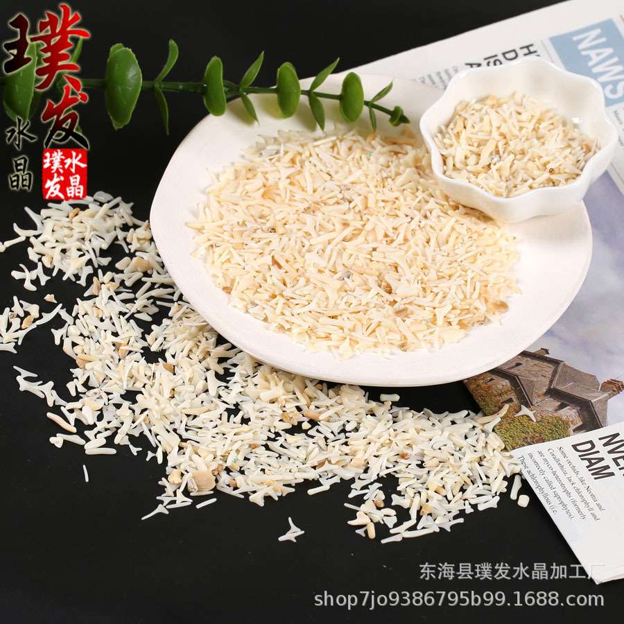 白珊瑚碎石 树枝状白珊瑚碎石 鱼缸石景观装饰