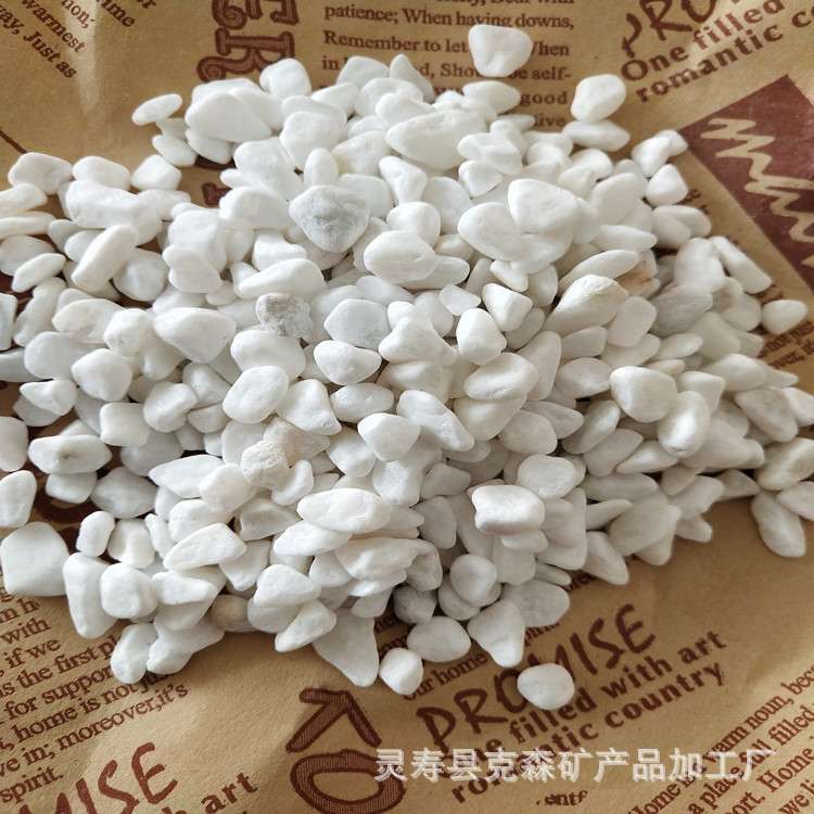 厂家 汉白玉白石子白色石头多肉装饰酒店庭院别墅造景生态造景