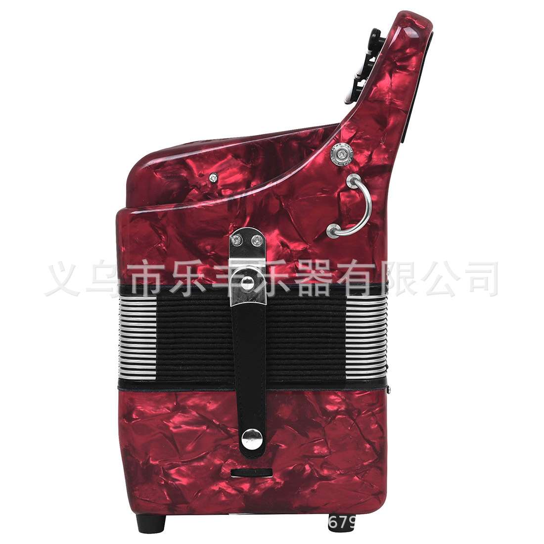 25键12贝斯键钮式专业巴扬手风琴初学者成人练习手风琴键盘乐器