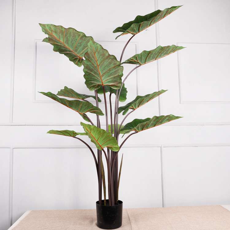 北欧仿真绿植彩虹芋 春芋盆栽花盆摆件人造 装饰仿真彩虹树工艺品
