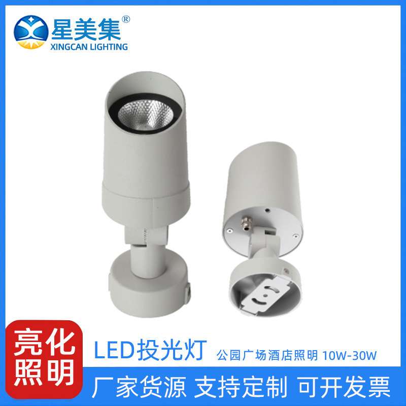 10W20W30W户外市政园林亮化工程LED彩色公园假山照树防水投光灯