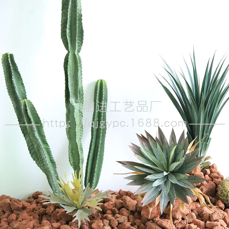 成套绿植景观组合套装室内人造景观沙漠仙人掌装饰展厅橱窗套装