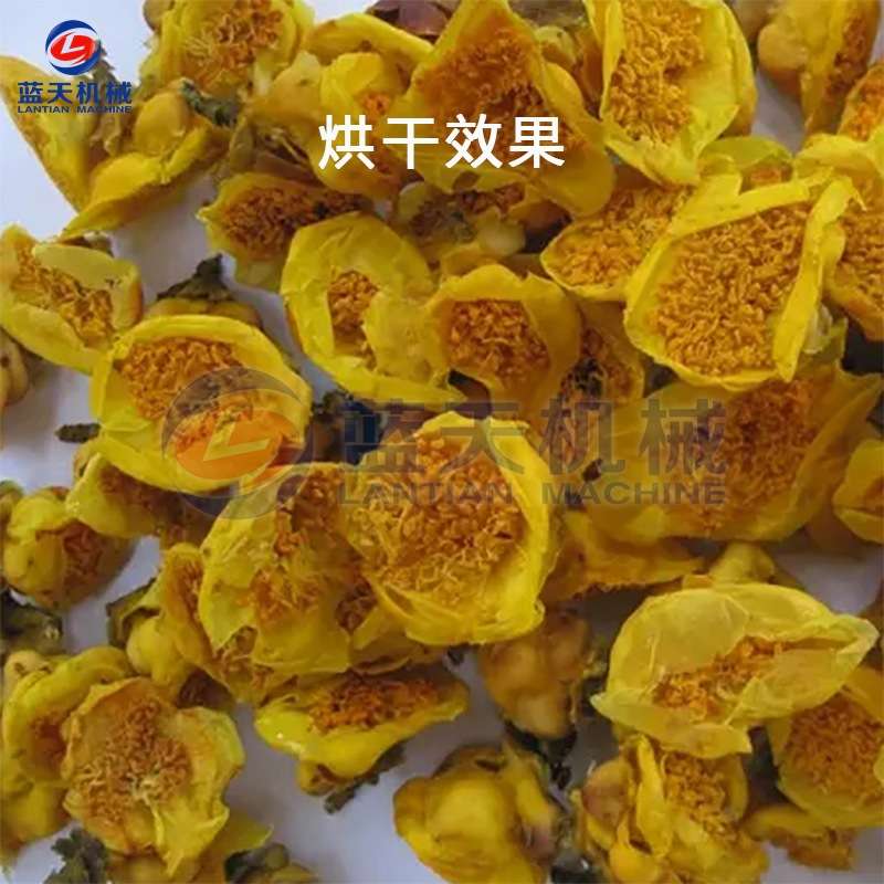 广西金花茶烘干机小型家用 金莲花黄色山茶烘干箱 花茶烘干机设备