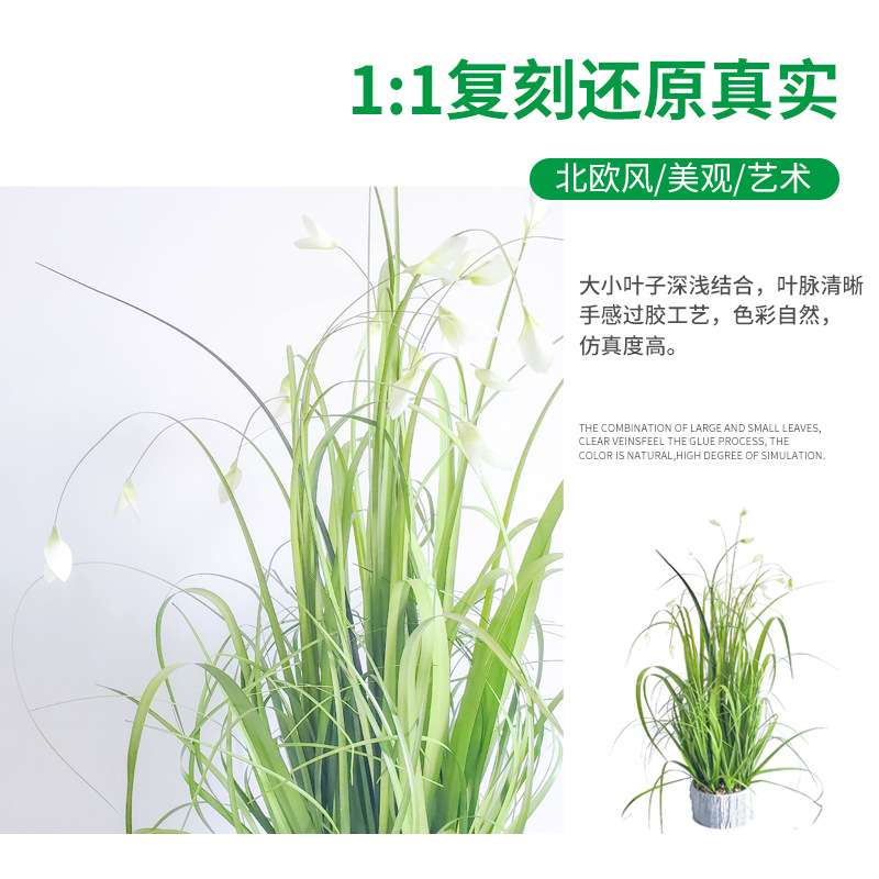 仿真洋葱草盆栽小兰花  家居装饰品仿真花盆栽 迷你洋葱草盆栽