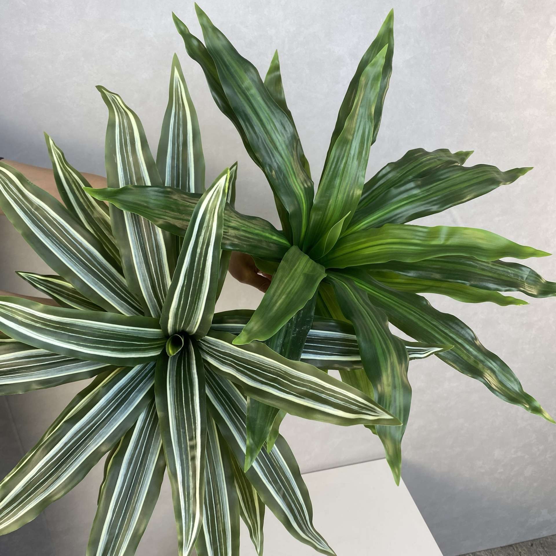 跨境高仿真巴西木巴西铁绿植叶子插支室内房间桌面餐桌摆件植物