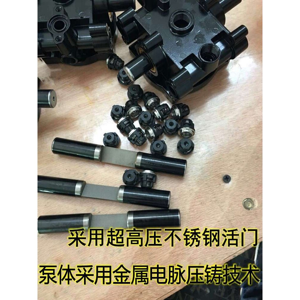 12V24V48V60V电动直流高压洗车机小型车载电瓶清洗泵自动回流水泵