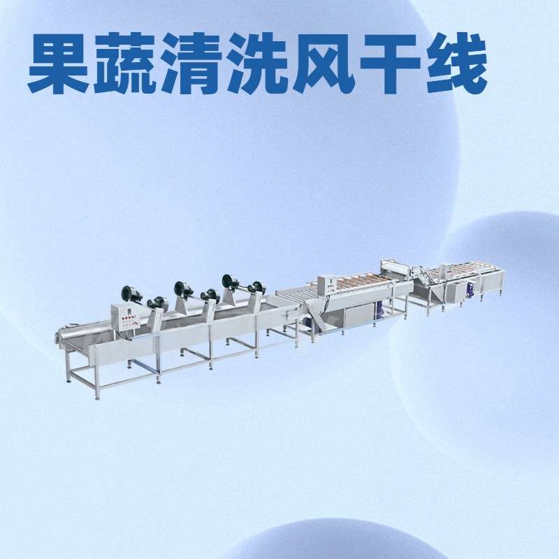 商用全自动洗菜机 玉米粒气泡清洗机 花生高压喷淋清洗流水线