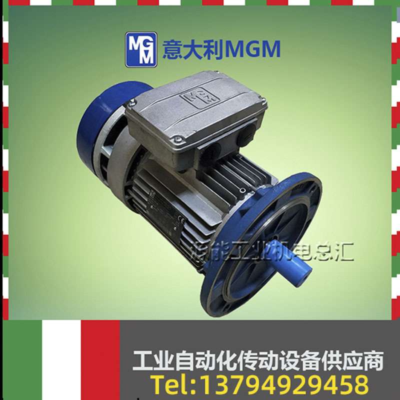 供应意大利MGM刹车电机 偏航电机 变桨电机