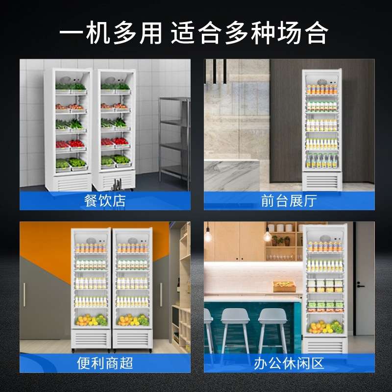 dapan奥达信冷藏展示柜酒水饮料柜牛奶冰箱立式冰柜110V220V跨境