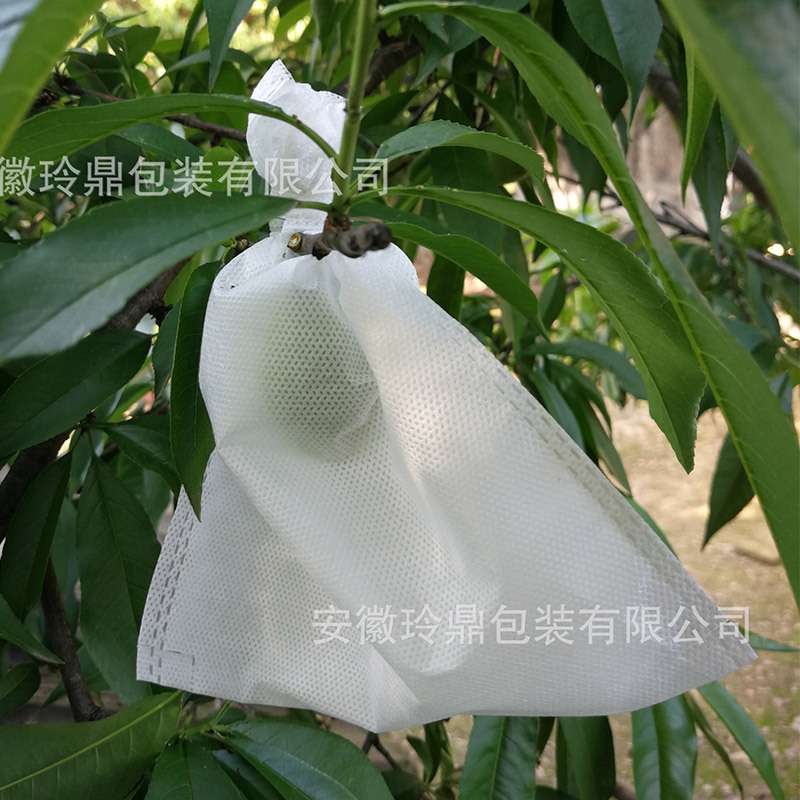 无纺布套袋桃子梨子芒果石榴防鸟防果锈适合各种果蔬专用袋装防水