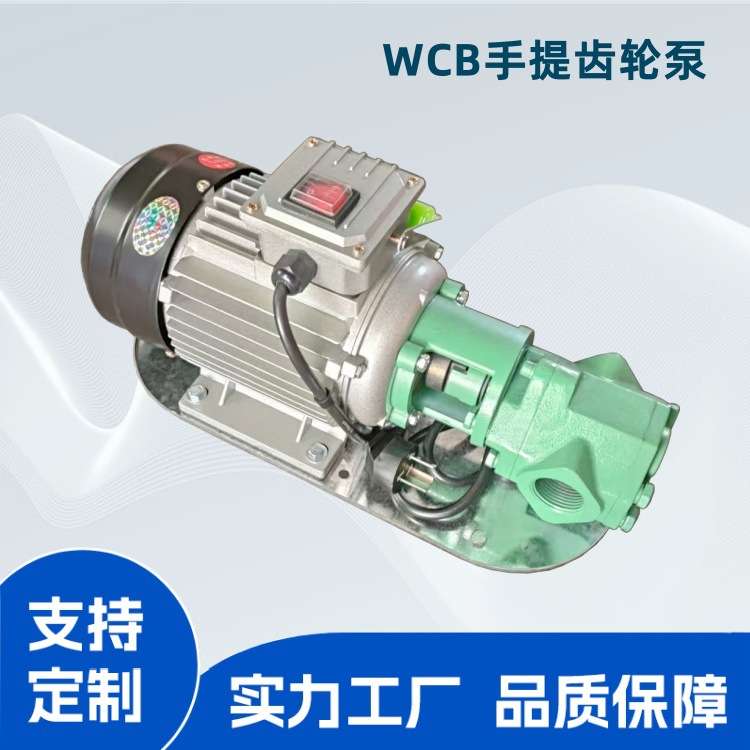 WCB手提齿轮泵 小型输油泵 便携式泵 电动油桶抽油泵 铸铁材质