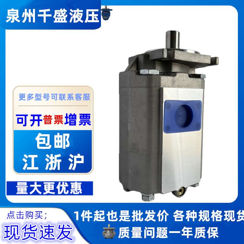 蚌埠8吨吊车双联齿轮泵 蚌埠8吨吊车液压马达 吊车双联液压齿轮泵