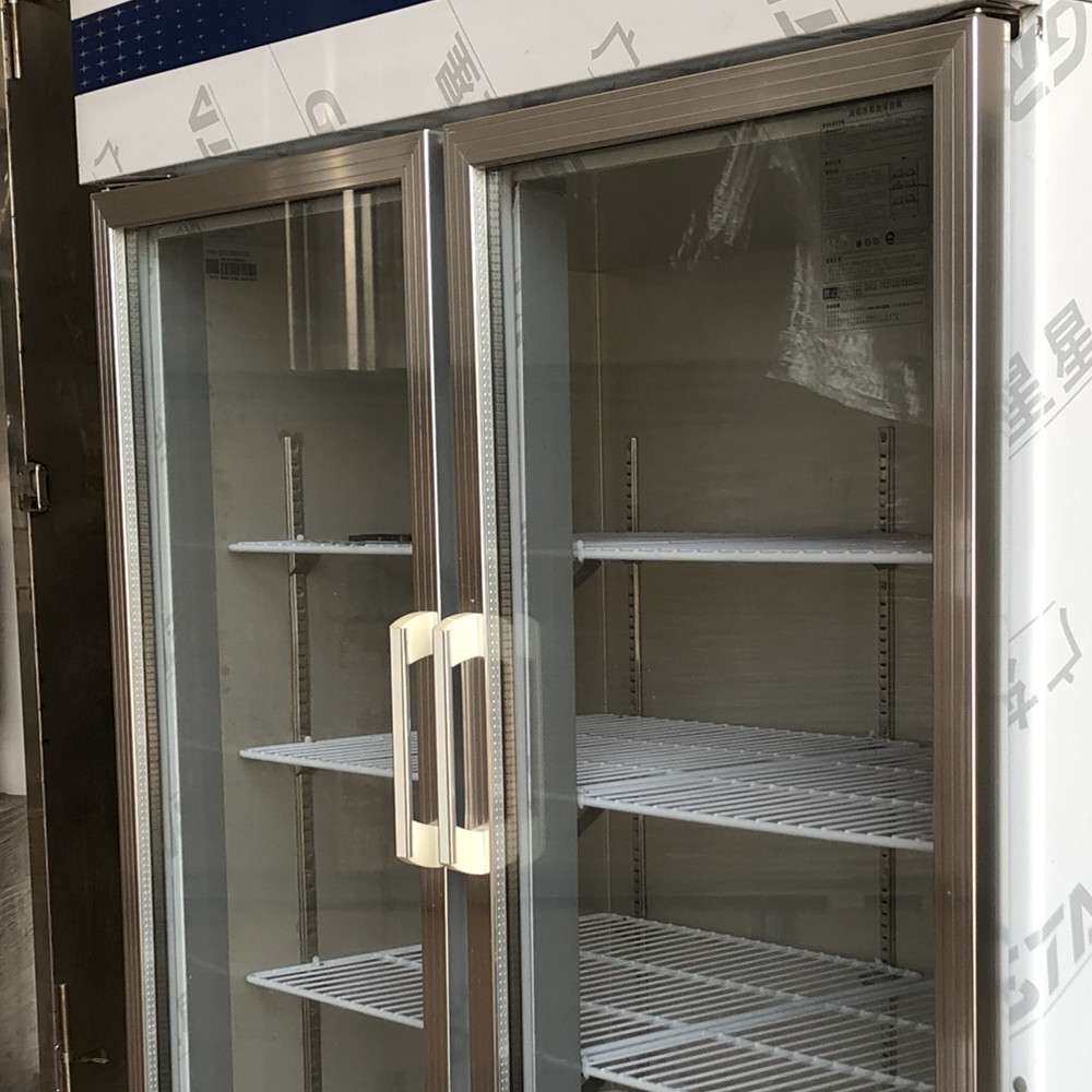 广东星星商业用冷冻冷藏冰柜多功能啤酒饮料水果保鲜柜省电冰箱