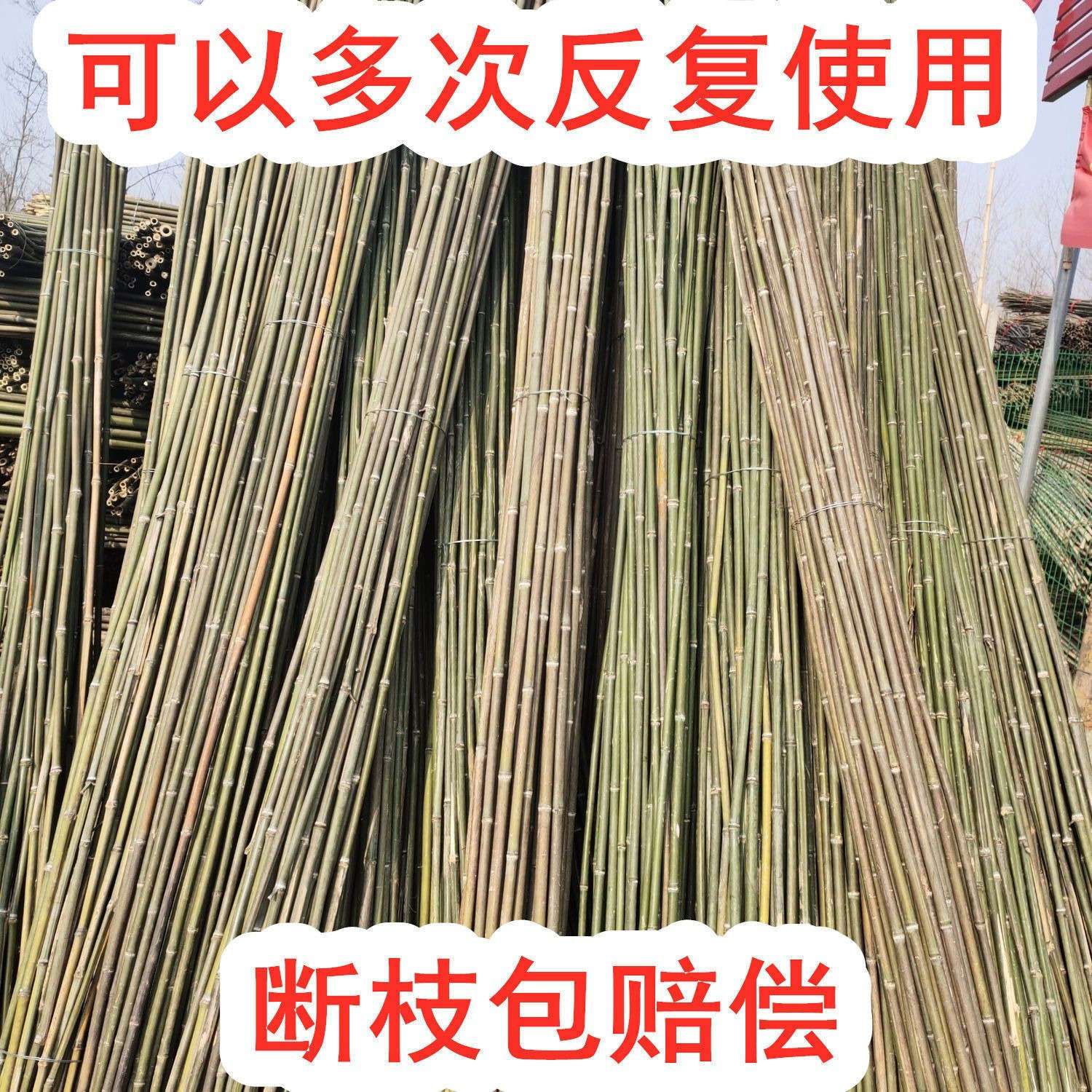 竹竿子搭架菜园竹片杆细竹条豆角黄瓜西红柿瓜果蔬菜架子园艺支架