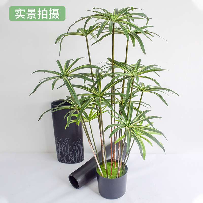 仿真竹子盆栽人造竹子盆景室内庭院商场餐厅装饰摆件仿真风车草