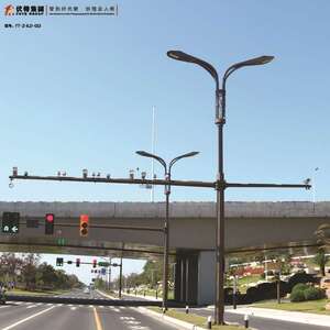 交通标志牌综合共杆路灯道路标识牌双臂交通红绿灯交通指示牌