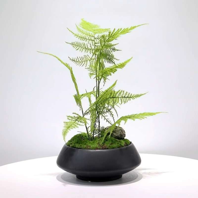 新中式仿真绿植盆景样板房客厅茶几售楼处玄关植物文竹盆栽摆件