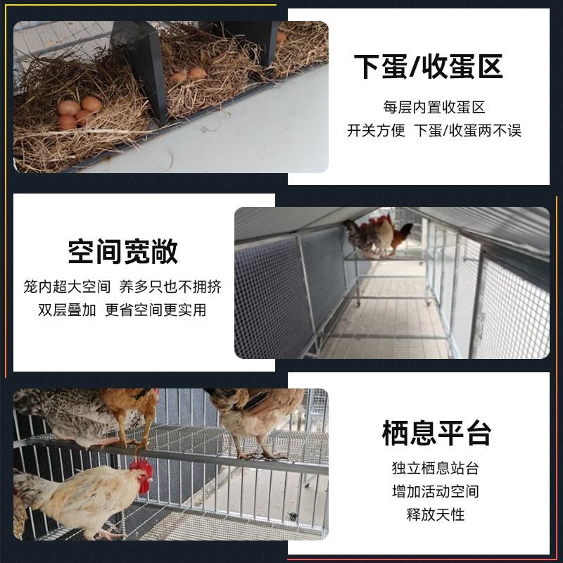 大牛镀锌鸡笼子家用室外防雨农村养鸡鸭兔鸽子养殖笼双层鸡舍鸽舍
