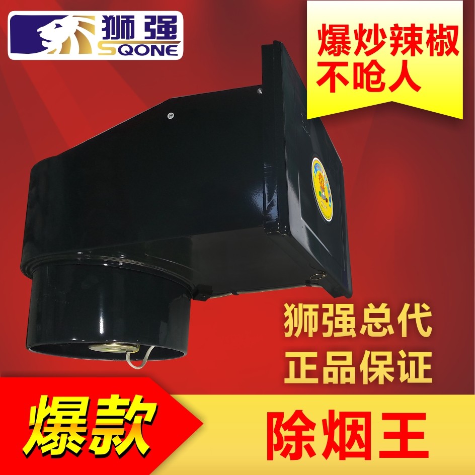 狮强牌强力排气扇/10寸厨房油烟换气扇/窗式排风扇/吸抽机S603A