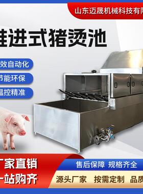改造封闭式整猪烫毛机全自动毛猪运河烫生猪电加热运河式烫池