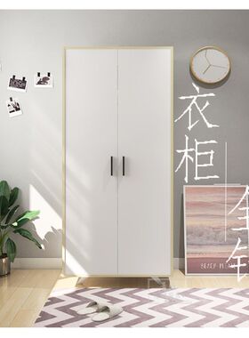 轻奢北欧全铝合金衣柜经济型储物收纳柜金属家具双门环保带脚