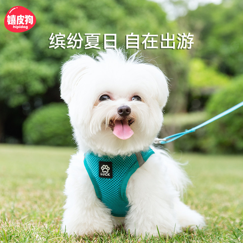 狗狗牵引绳背心式中小型犬遛狗绳幼犬胸背带泰迪比熊博美小狗链子