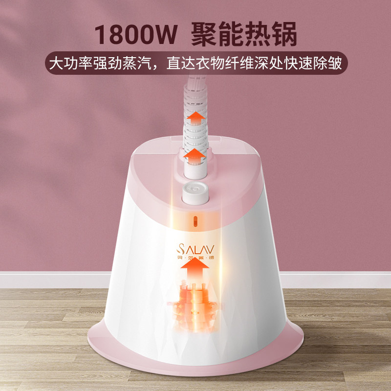 [定制款专拍]贝尔莱德挂烫机家用小型蒸汽挂烫机熨烫机熨斗GS6119