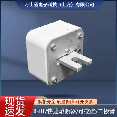 现货巴斯曼熔断器170M6008 170M6009170M6010 170M6058 170M6060